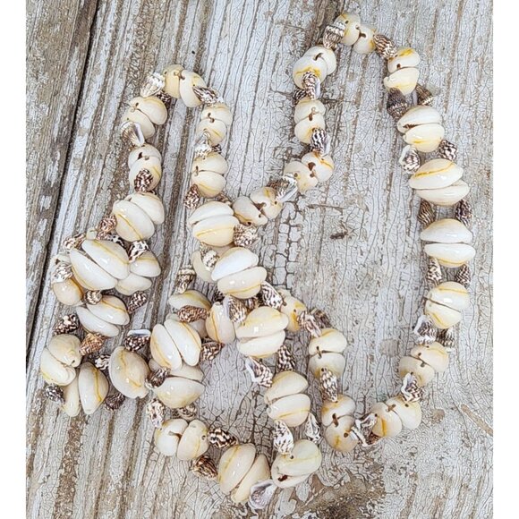 Vintage Butterscotch Cowrie & Nassa Shell Ladder Necklace Chunky 36 Inches Jewel - Picture 4 of 5